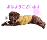 746709993