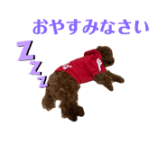 746709995