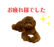 746709997