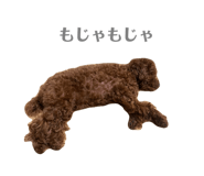 746710008