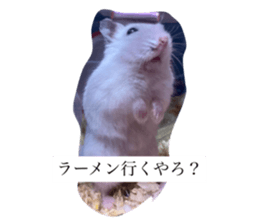 746722807