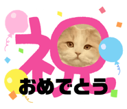 746746899