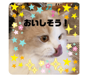 746746915