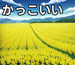 746747477
