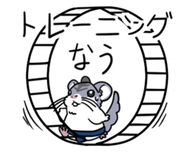 7467807
