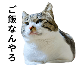 746783250