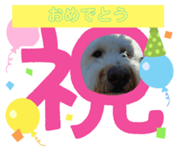 746823698