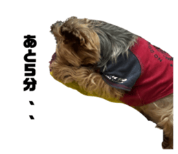 746826652