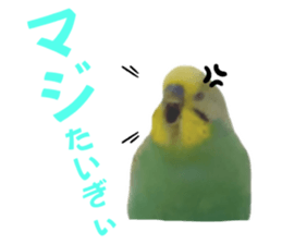 746832327
