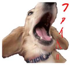 746842236