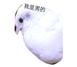 746863890