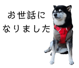 746865562