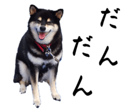 746865566