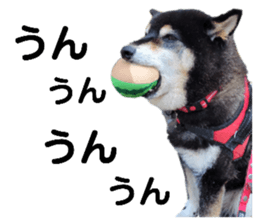 746865570
