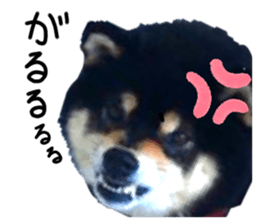746865581