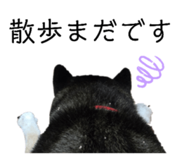 746865582