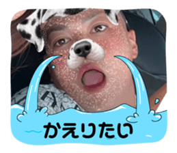 746910591