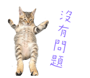 746920139