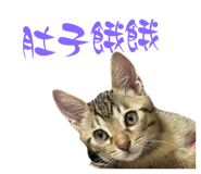 746920146