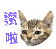 746920153