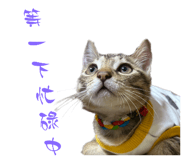 746920159