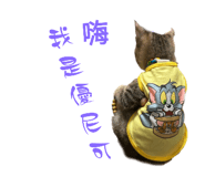746920165