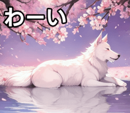 746922094