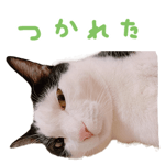 746939923