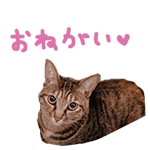 746939924
