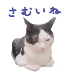 746939929