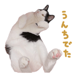 746939940