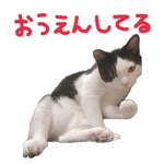746939943