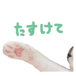 746939947