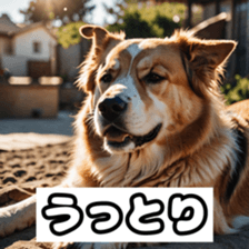 746992935