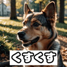 746992937