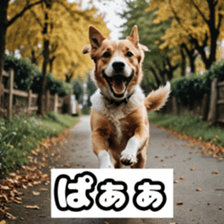 746992958