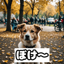 746992964