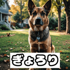 746992965