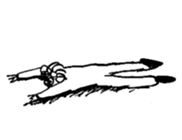 747009554