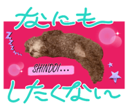 747038386
