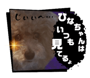 747038416