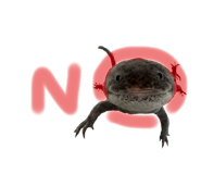 747073935