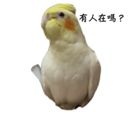747083977