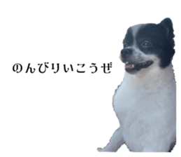 747089199