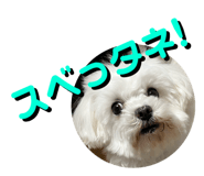 747090040