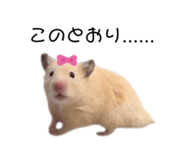 747091022