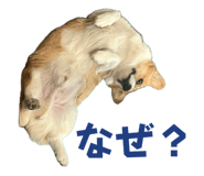 747097335
