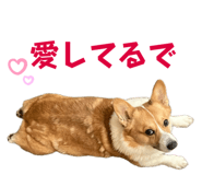747097336