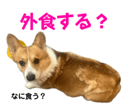 747097339