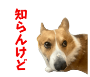 747097340